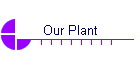Our Plant
